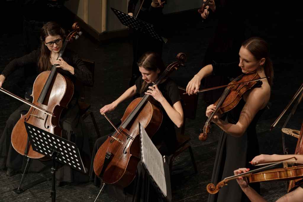 Classical Music and Museum Culture